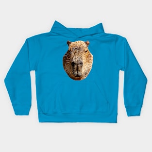 Just a Capybara Kids Hoodie